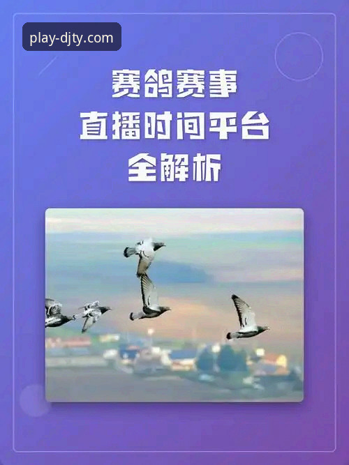 揭秘大江体育最新版：从赛事直播到竞彩分析的实战利器